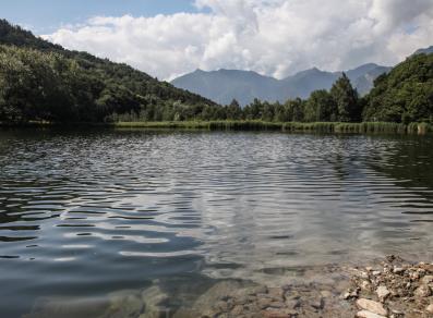 Riserva naturale Lago di Villa