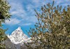 Monte Cervino