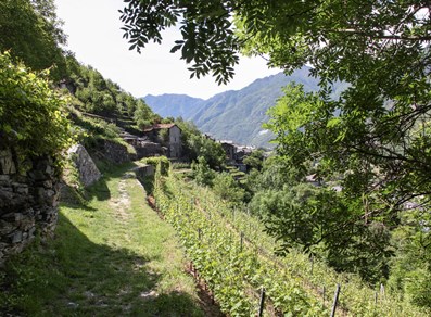 Lungo la Francigena - Montjovet
