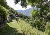 Lungo la Francigena - Montjovet