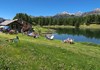 Lago Lod