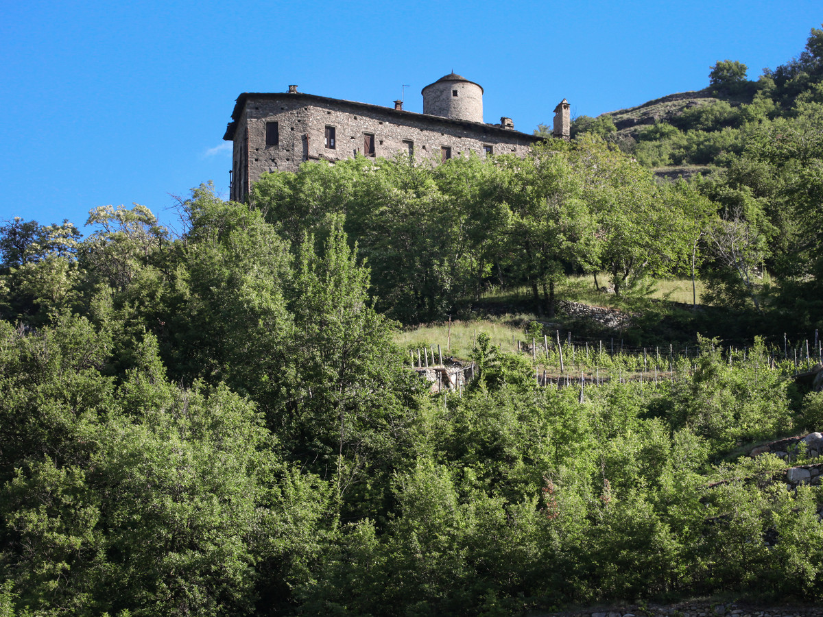 Chateau de NUs