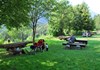 Pic nic area