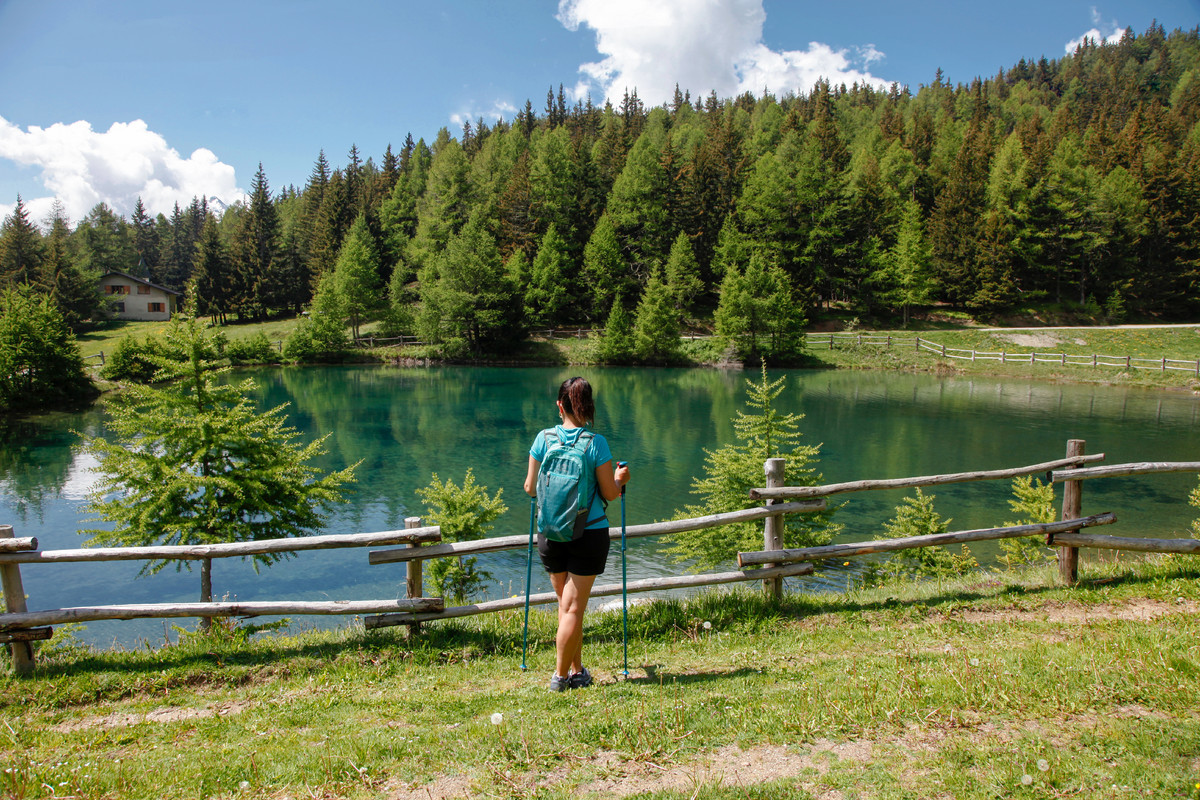 See von Joux