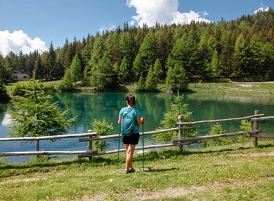 See von Joux