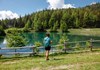 See von Joux