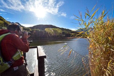 Riserva naturale Lago di Villa