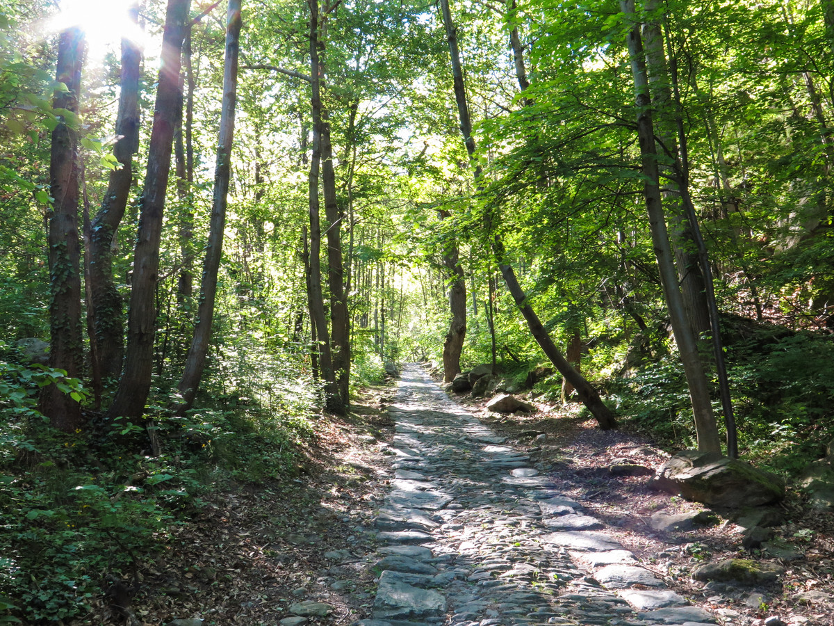 Gepflasterten Weg