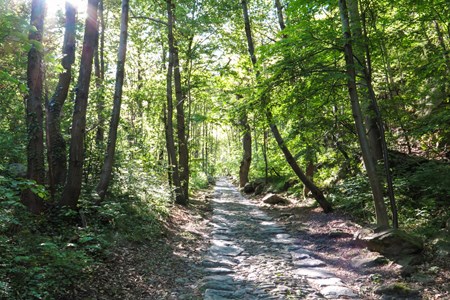 Paved road