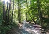 Strada selciata