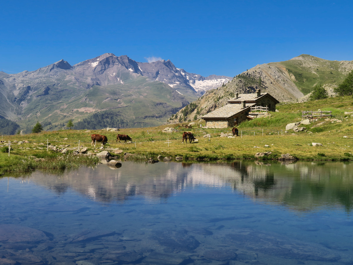 Lago Muffé