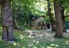 Agriturismo a Machaby