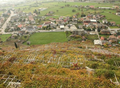 Vigneti terrazzati di Donnas