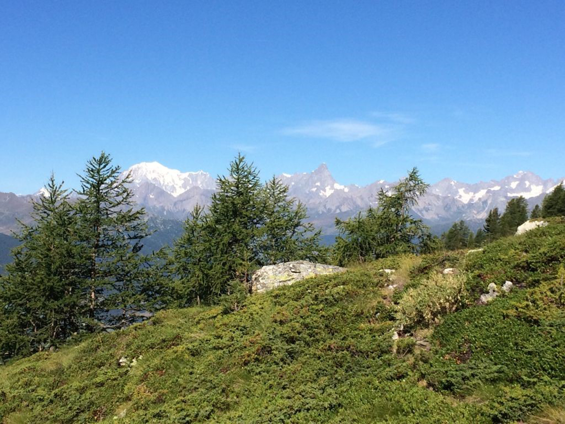 Le mont Blanc et les Grandes Jorasses