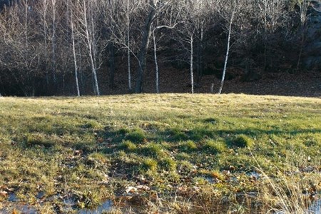 Réserve naturelle Étang de Holay