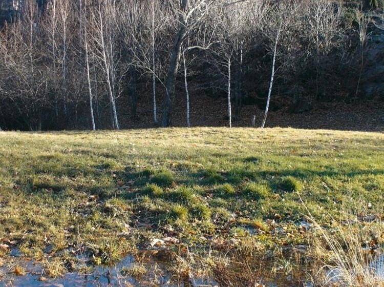 Reserva natural del pantano de Holay