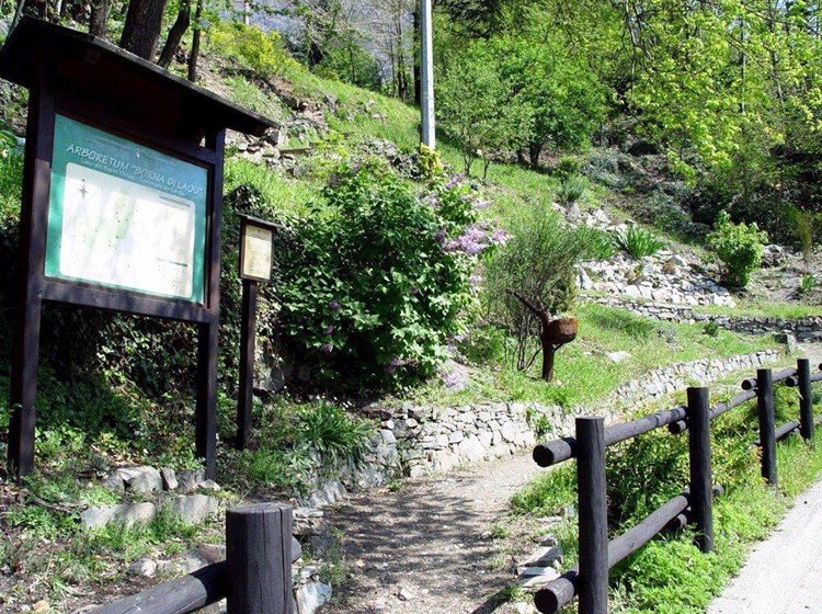 Arboretum "Borna di Laou"