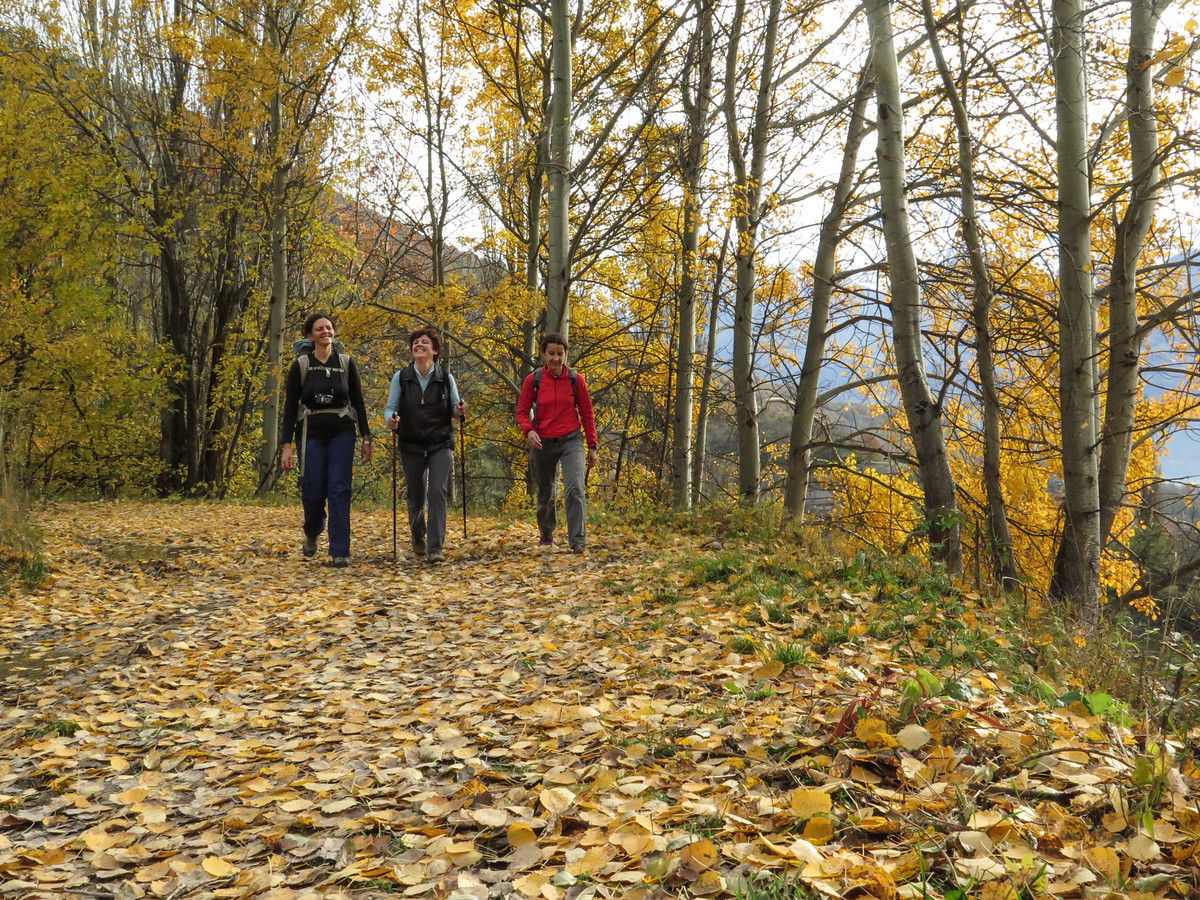 Ru Pompillard im Herbst
