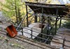 Mineral transport trolley
