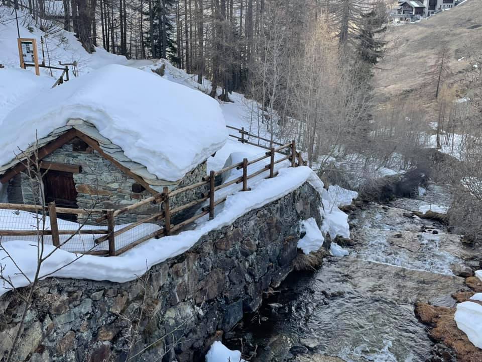 Le vieux moulin
