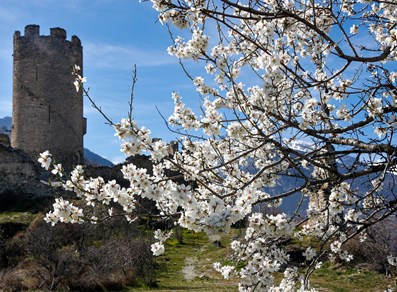 Castello Châtel Argent - Villeneuve