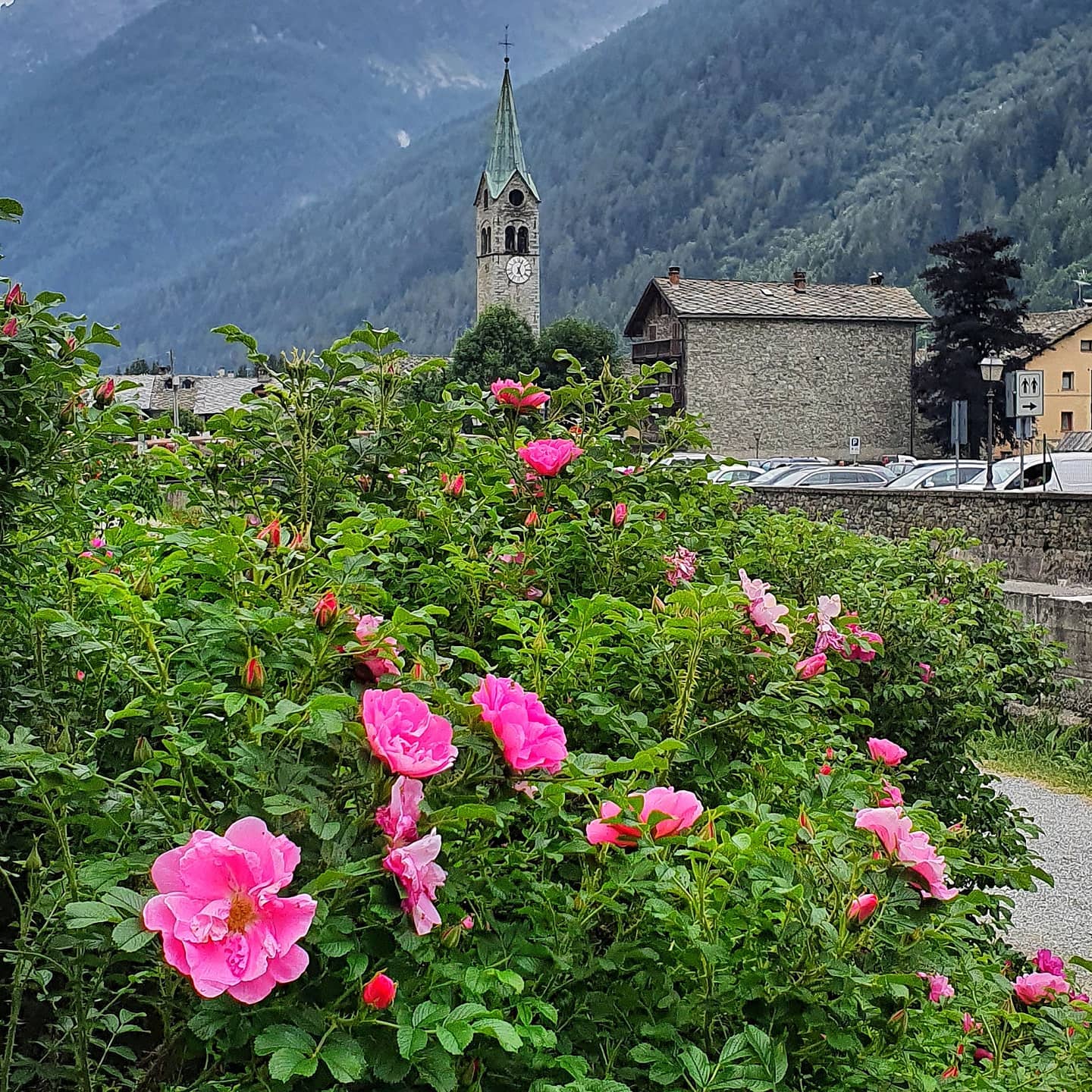 veduta di Gressoney-Saint-Jean dal Walser Reng