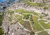 vigneti (zona arida con particolare ambiente xeric