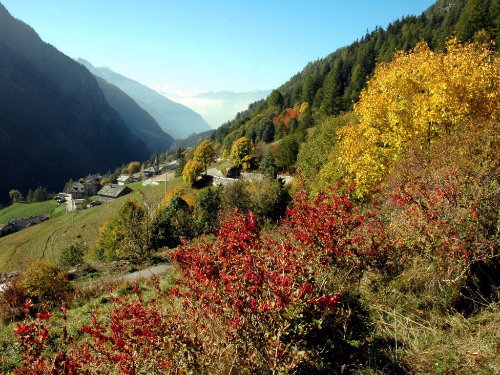 Panorama di Bionaz - Autunno