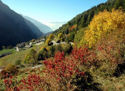 Panorama di Bionaz