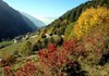 Panorama di Bionaz