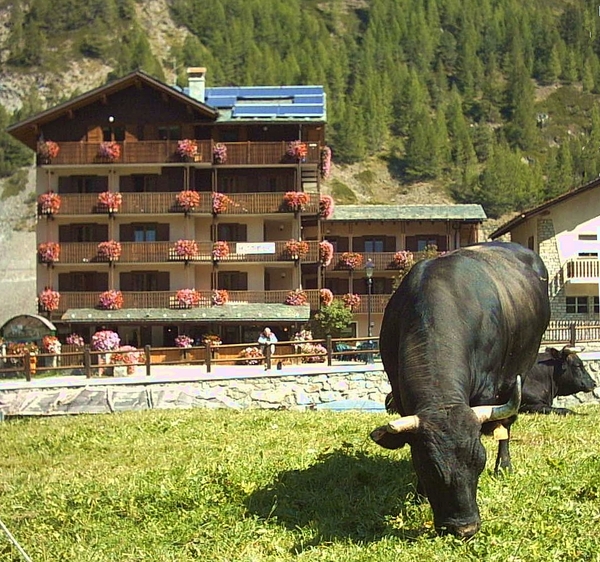 Esterna estate