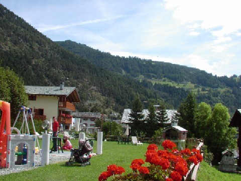 Jardin