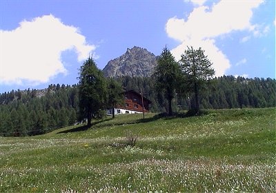 Esterna estate
