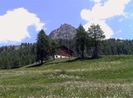 Exterior summer