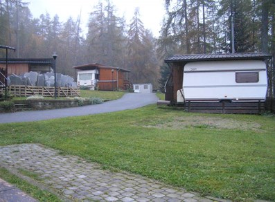 Lignan - Nus