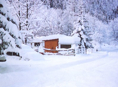 Exterior winter