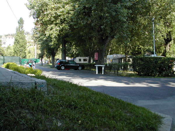 Zona arbolada