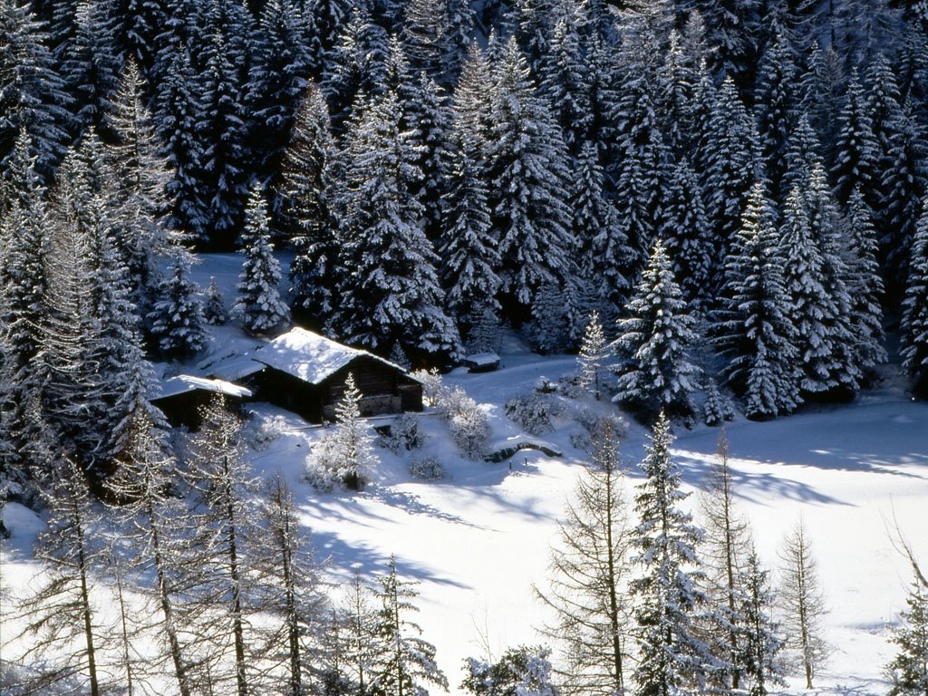 Chalet innevato a Cogne