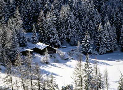 Chalet innevato a Cogne