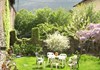 primavera in giardino