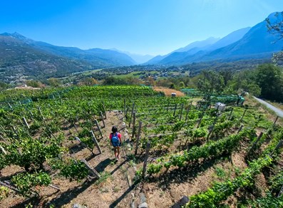 Panorama di Fénis
