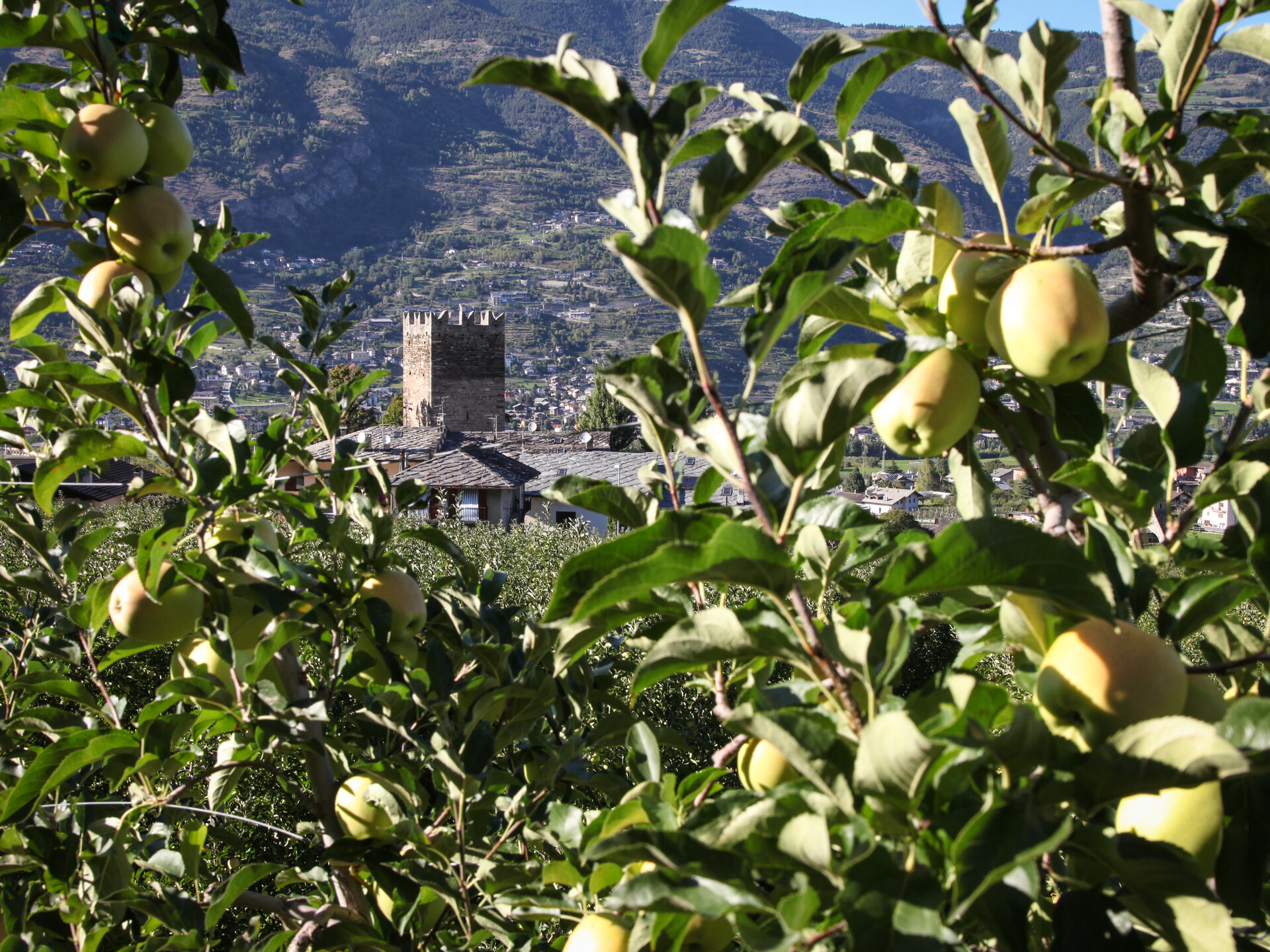 La Tour de Villa parmi les pommiers