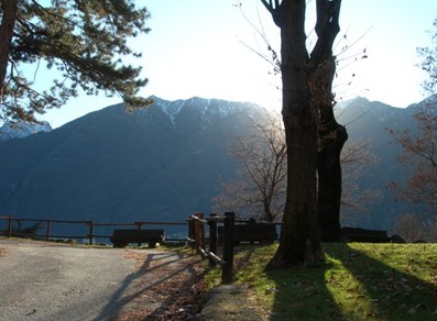 Arboretum Borna di Laou di Verrès