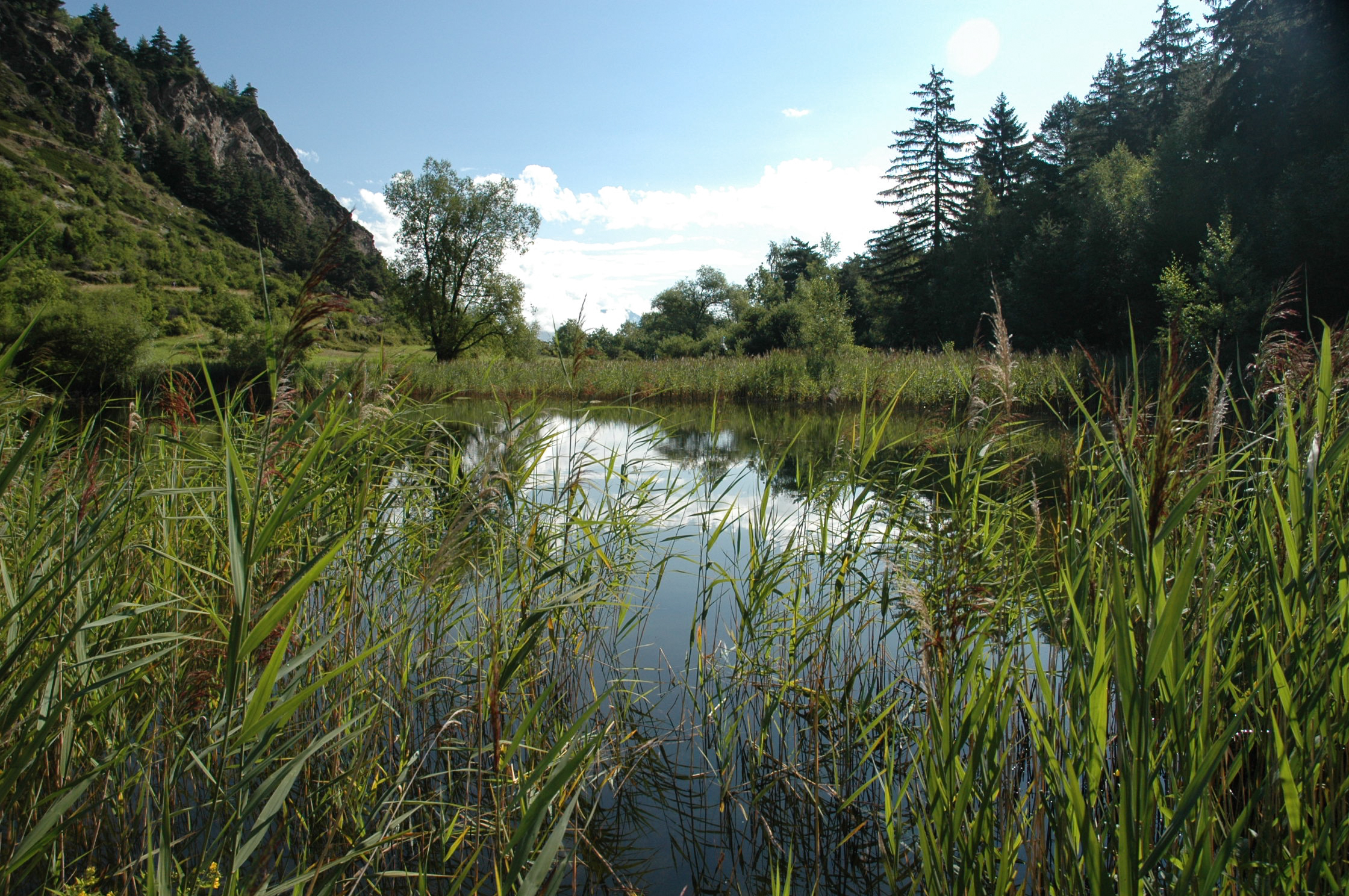 Riserva Naturale Lago di Lolair - Arvier