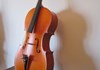 Violoncello