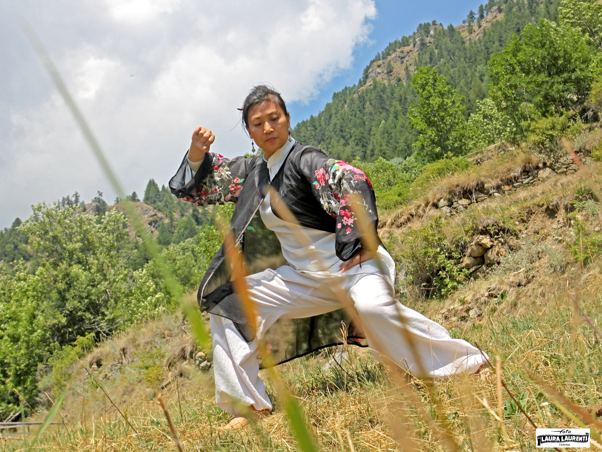 Maître LIU Cui Fang
