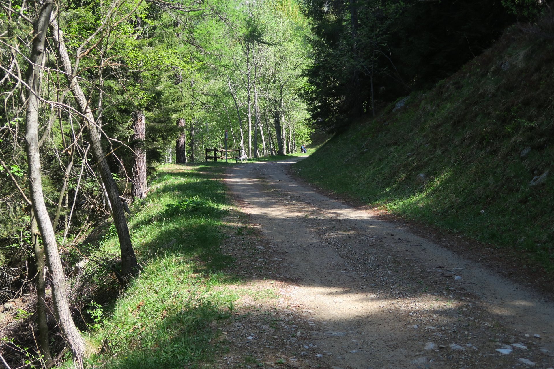percorso salute Coumarial