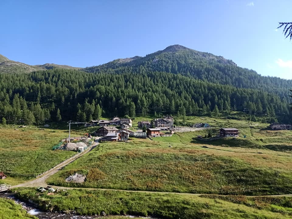 Cheneil