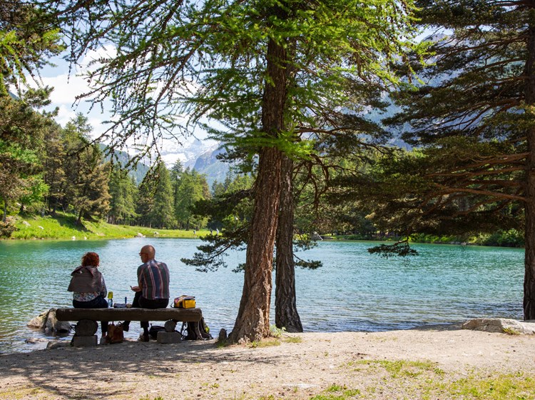 Area pic nic "Bosco di Lexert" - Bionaz