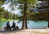 Area pic nic "Bosco di Lexert" - Bionaz
